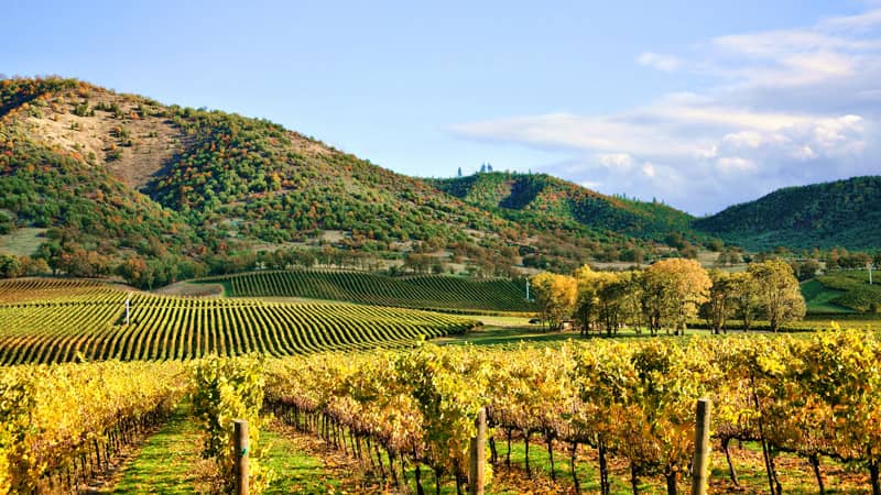 private wine tours tuscany